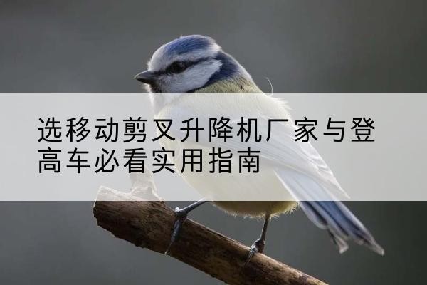 柳州电动升降机厂家-选移动剪叉升降机厂家与登高车必看实用指南