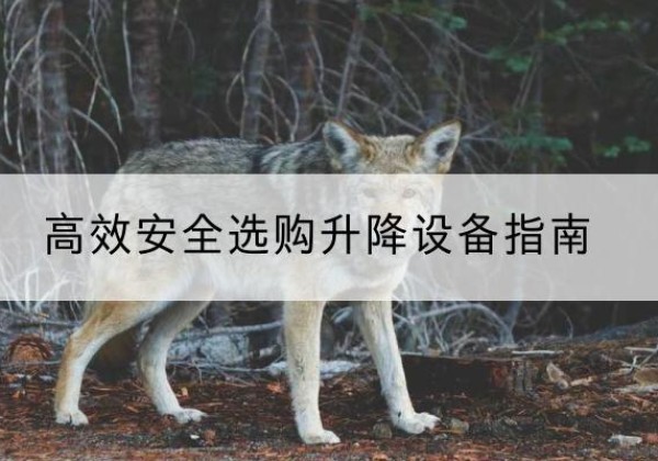 柳州升降货梯厂家推荐-*安全选购升降设备指南